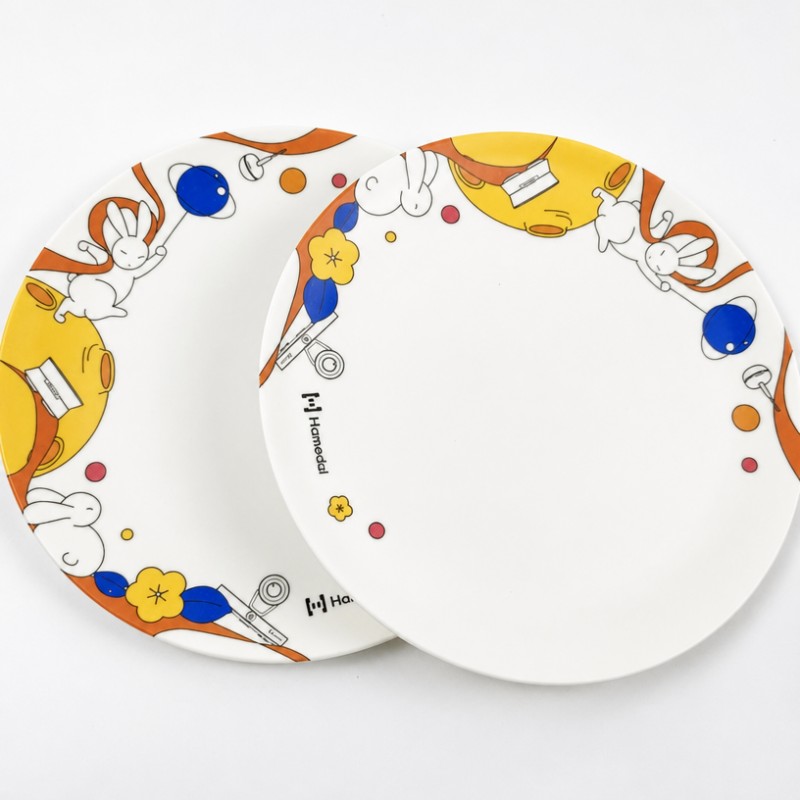 Piatti di frutta per insalata personalizzati in fibra di bambù Ins‑Style